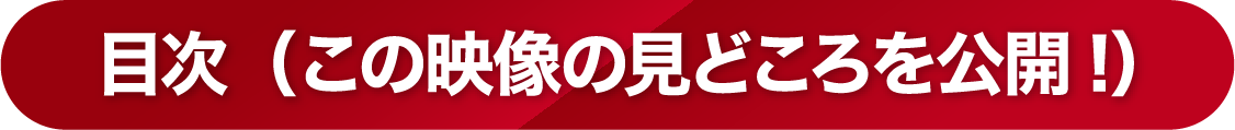 【目次(この映像の見どころを公開!)】
